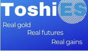 Toshi Enterprise Solutions